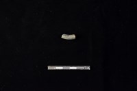 陶環藏品圖，第2張